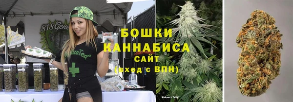 jwh Гусь-Хрустальный