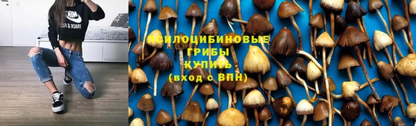 mdpv Гусиноозёрск