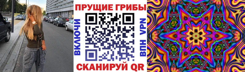Псилоцибиновые грибы GOLDEN TEACHER  Купить закладки  Пласт 