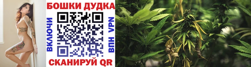 Конопля LSD WEED  Купить закладки  Пласт 